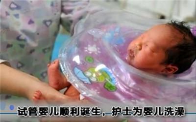 主案例